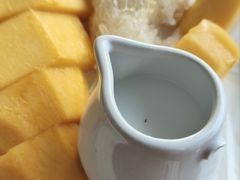 -Kat's Kitchen