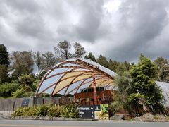 -怀托摩萤火虫洞