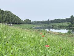 -洨河生态公园