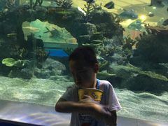 -常州海昌海洋探索馆