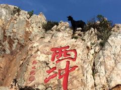 -西涌国际滨海旅游区