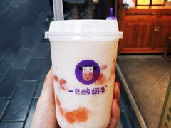 乐乐桃桃酸奶多-一只酸奶牛(八一路店)