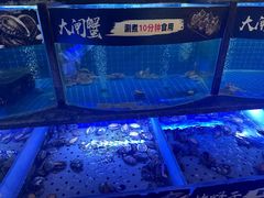-福禧荟·海鲜自助
