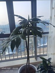 -HEYAN荷妍专业脱毛连锁机构