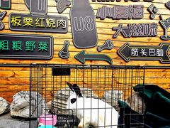 -京北渔家傲