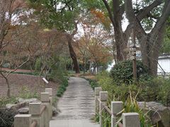 -秋霞圃