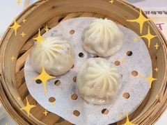金牌鸡汁汤包-苏晓玥·江南小吃(深圳北站店)