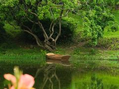 -云溪植物园