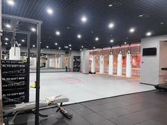 -臻元搏击格斗泰拳拳馆(港隆店)