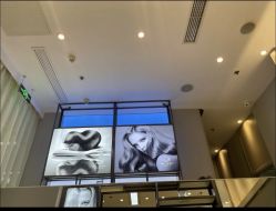 -Mr.JUDY洗个头发