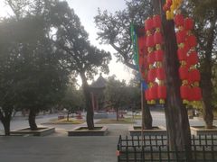 -关林