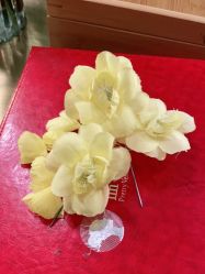 -盘子女人坊古装写真摄影(天津总店)