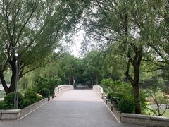 -大兴滨河森林公园