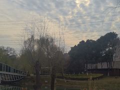 -九里河湿地公园