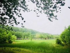 -东郊湿地公园
