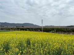 -光明小镇欢乐田园