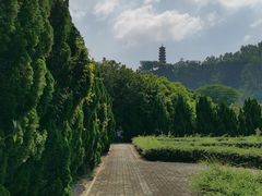 -南沙蒲洲花园
