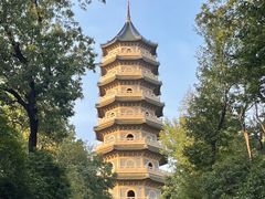 -灵谷景区