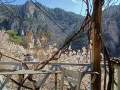 -崂山九水游览区