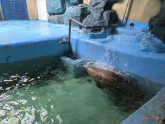 -青藏高原野生动物园