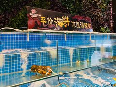 -佳兰雅序融合菜(高新店)