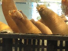 -青石桥市场北1-27号