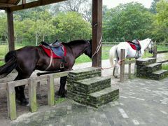 马-溱湖国家湿地公园