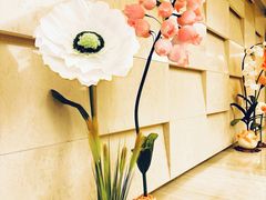 -极斗-IKMF马伽术·格斗运动学院(东直门店)