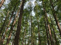 -南京金牛湖风景区