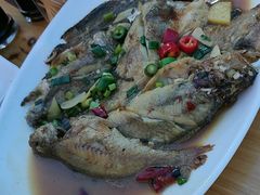 -舌尖上·霞浦滩涂海鲜·新闽菜(总店)