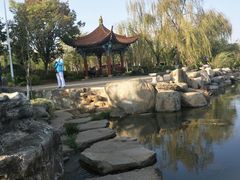 -洛龙公园