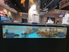 水产区-盒马鲜生(王府广场店)