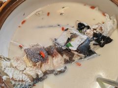 -全乐鱼馆·淳牌有机鱼直营店
