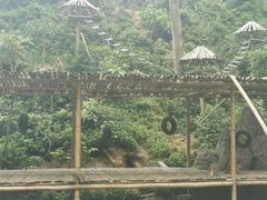 -西双版纳原始森林公园