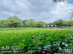 -青城公园