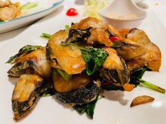 金不换煎焗白鳝-博多新记·粤菜(复兴店)