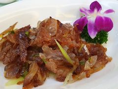 启东海蜇头-苏启渔港(云南北路店)