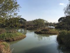 -梁鸿国家湿地公园