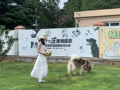 -趣玩宠物乐园寄养训犬训狗游泳池