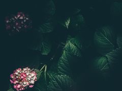 -四季暖堂·融合江浙菜(N1955创业园店)