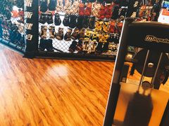 -奥林匹克体育中心游泳跳水中心