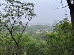 -岳麓山风景名胜区