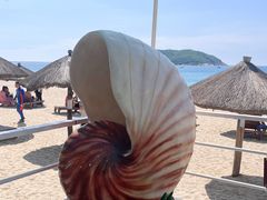 -亚龙湾海底世界