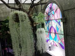 -范设计花园餐酒咖·中西餐·咖啡厅·酒馆