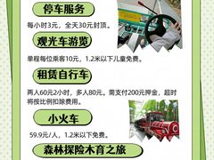 -日照海滨国家森林公园