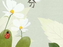 -村长家的疙瘩汤(淄博路店)