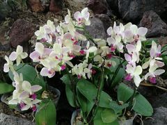 -南通洲际绿博园