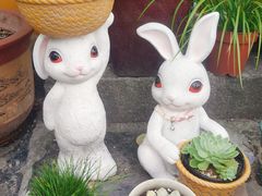 -老乡鸡(青阳北路店)