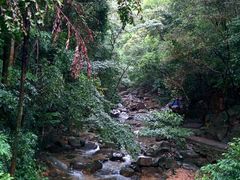 android_upload_pic-鼎湖山风景区