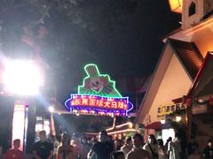 -广州长隆国际大马戏